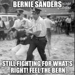 Bernie Sanders Arrested Chicago | BERNIE SANDERS; STILL FIGHTING FOR WHAT'S RIGHT!
FEEL THE BERN | image tagged in bernie sanders arrested chicago | made w/ Imgflip meme maker