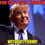 Donald Trump | YOU CAN'T SPELL TRIUMPH; WITHOUT TRUMP | image tagged in donald trump | made w/ Imgflip meme maker