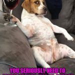 A little dogflix and chill | YOU SERIOUSLY NEED TO LEARN HOW TO KNOCK, BEFORE ENTERING A CLOSED ROOM | image tagged in dog drinking wine,memes | made w/ Imgflip meme maker