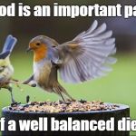 Birds | Food is an important part; of a well balanced diet | image tagged in birds | made w/ Imgflip meme maker