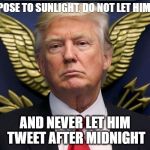 Trump Mogwai Gremlin | DON'T EXPOSE TO SUNLIGHT. DO NOT LET HIM GET WET. AND NEVER LET HIM TWEET AFTER MIDNIGHT | image tagged in trump mogwai gremlin | made w/ Imgflip meme maker