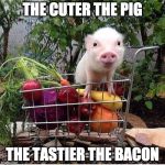 Bacon > Cute | THE CUTER THE PIG; THE TASTIER THE BACON | image tagged in baby pig please do not eat bacon,bacon,cute,tasty,bacon fun | made w/ Imgflip meme maker