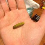 Lil pickle