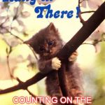 Hang in there cat | COUNTING ON THE 3RD BRANCH TO KEEP AMERICA SAFE & SANE | image tagged in hang in there cat | made w/ Imgflip meme maker