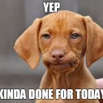Kinda Done Dog | YEP; KINDA DONE FOR TODAY | image tagged in kinda done dog | made w/ Imgflip meme maker