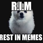Gabe the dog | R.I.M; REST IN MEMES | image tagged in gabe the dog | made w/ Imgflip meme maker