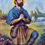 santo mimimi