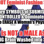 Feminism | These are NOT Feminist Fashion Statements; These are SYMBOLS of SUBMISSION to a MALE CONTROLLED & Dominated Culture; Men trying to ERASE A Woman's Physical Identity; Modesty is NOT a MALE Aspiration; Women BEING Brain Washed into SUBMISSION | image tagged in feminism | made w/ Imgflip meme maker