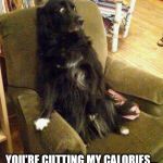 Dogs | YOU'RE CUTTING MY CALORIES... | image tagged in dogs | made w/ Imgflip meme maker