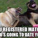 Dogs laughting | YOU REGISTERED MATCH? WHO'S GOING TO DATE YOU? | image tagged in dogs laughting | made w/ Imgflip meme maker