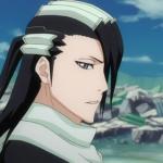 Kuchiki Byakuya meme