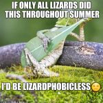 Lizard Music | IF ONLY ALL LIZARDS DID THIS THROUGHOUT SUMMER; I'D BE LIZARDPHOBICLESS😑 | image tagged in lizard music | made w/ Imgflip meme maker