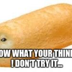 twinkie doge | I KNOW WHAT YOUR THINKING !
DON'T TRY IT... | image tagged in twinkie doge | made w/ Imgflip meme maker