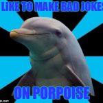 Bad pun dolphin | I LIKE TO MAKE BAD JOKES ON PORPOISE | image tagged in dolphin,bad pun dolphin,trhtimmy,memes | made w/ Imgflip meme maker