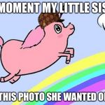Fat unicorn ????  | THE MOMENT MY LITTLE SISTER; SAW THIS PHOTO SHE WANTED ONE 🦄 | image tagged in fat unicorn,scumbag | made w/ Imgflip meme maker