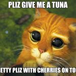 Pretty Please Cat | PLIZ GIVE ME A TUNA; PRETTY PLIZ WITH CHERRIES ON TOP? | image tagged in pretty please cat | made w/ Imgflip meme maker