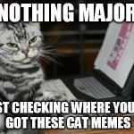 Cat computer | NOTHING MAJOR; JUST CHECKING WHERE YOU'VE GOT THESE CAT MEMES | image tagged in cat computer | made w/ Imgflip meme maker