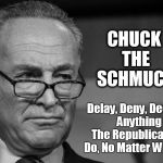 Schumer | CHUCK THE SCHMUCK; Delay, Deny, Decry      Anything The Republicans Do, No Matter What. | image tagged in schumer | made w/ Imgflip meme maker