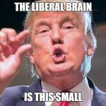 Donald Trump small brain | THE LIBERAL BRAIN; IS THIS SMALL | image tagged in donald trump small brain | made w/ Imgflip meme maker