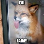 Thirsty_Fox | J'AI; FAIM!! | image tagged in thirsty_fox | made w/ Imgflip meme maker