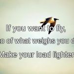 Birds | If you want to fly, Let go of what weighs you down. Make your load lighter. | image tagged in birds | made w/ Imgflip meme maker