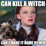 Toto Wizard of Oz | CAN KILL A WITCH; BUT CAN'T MAKE IT HOME BY HERSELF | image tagged in toto wizard of oz | made w/ Imgflip meme maker