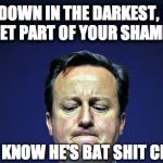 Cameron ashamed | DEEP DOWN IN THE DARKEST, MOST SECRET PART OF YOUR SHAME-GUT; YOU KNOW HE'S BAT SHIT CRAZY | image tagged in cameron ashamed | made w/ Imgflip meme maker