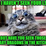 it's a classic, can you blame me? | NO, I HAVEN'T SEEN YOUR LSD... BUT HAVE YOU SEEN THOSE SCARY DRAGONS IN THE KITCHEN! | image tagged in lsd cat | made w/ Imgflip meme maker