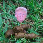 Trump poop