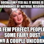 A pinch of salt, some naivety... | SOCIALISM? YES! ALL IT NEEDS IS AN ABUNDANCE OF NATURAL RESOURCES, A FEW PERFECT PEOPLE, SOME FAIRY DUST, AND A COUPLE UNICORNS | image tagged in glenda witch | made w/ Imgflip meme maker