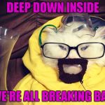 I may have to binge watch Breaking Bad one of these days. | DEEP DOWN INSIDE; WE'RE ALL BREAKING BAD | image tagged in cat breaking bad,memes,funny,breaking bad,cats,funny cats | made w/ Imgflip meme maker