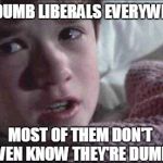 Everywhere!!! | I SEE DUMB LIBERALS EVERYWHERE... MOST OF THEM DON'T EVEN KNOW THEY'RE DUMB. | image tagged in memes,i see dead people | made w/ Imgflip meme maker