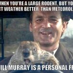 Groundhog Day | WHEN YOU'RE A LARGE RODENT, BUT YOU PREDICT WEATHER BETTER  THAN METEOROLOGISTS; AND BILL MURRAY IS A PERSONAL FRIEND. | image tagged in groundhog day | made w/ Imgflip meme maker