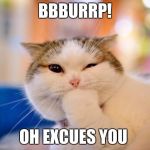 thinking cat | BBBURRP! OH EXCUES YOU | image tagged in thinking cat | made w/ Imgflip meme maker