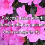 flowers | Success takes effort. Behind effort is passion; And courage to try. | image tagged in flowers | made w/ Imgflip meme maker