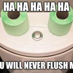 Happy toilet | HA HA HA HA HA; YOU WILL NEVER FLUSH ME! | image tagged in happy toilet | made w/ Imgflip meme maker