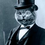 Cat top hat monacle