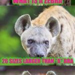 Bad Pun Hyena | WHAT IS A ZEBRA; 26 SIZES LARGER THAN "A" BRA | image tagged in bad pun hyena | made w/ Imgflip meme maker