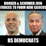 Democrat | BOOKER & SCHUMER JOIN FORCES TO FORM NEW CAUCUS; BS DEMOCRATS | image tagged in democrat | made w/ Imgflip meme maker