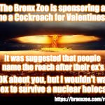 No Thank You | The Bronx Zoo is sponsoring a 'Name a Cockroach for Valentines Day'; It was suggested that people name the roach after their ex's; ...IDK about you, but I wouldn't want my ex to survive a nuclear holocaust; https://bronxzoo.com/roach | image tagged in nuke,ex,cockroach,nuclear,holocaust | made w/ Imgflip meme maker