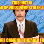 ron burgundy | THIS JUST IN; A VAN-LOAD OF WIGS WERE STOLEN YESTERDAY; POLICE ARE COMBING THE AREA FOR
CLUES | image tagged in ron burgundy | made w/ Imgflip meme maker
