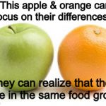 apples oranges compare difference | This apple & orange can focus on their differences or; they can realize that they are in the same food group. | image tagged in apples oranges compare difference | made w/ Imgflip meme maker