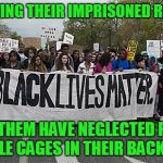People that can do this to animals do not have humanity. | PROTESTING THEIR IMPRISONED RELATIVES; HALF OF THEM HAVE NEGLECTED PITBULLS IN LITTLE CAGES IN THEIR BACKYARDS. | image tagged in black lives matter | made w/ Imgflip meme maker