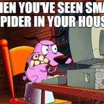 COURAGE DA TIDDY | WHEN YOU'VE SEEN SMALL SPIDER IN YOUR HOUSE | image tagged in courage da tiddy | made w/ Imgflip meme maker