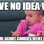 girl shrugging shoulders | I HAVE NO IDEA WHY; YOUR GIRL SCOUT COOKIES WENT MISSING | image tagged in girl shrugging shoulders | made w/ Imgflip meme maker