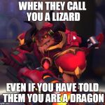 Upset Drogoz | WHEN THEY CALL YOU A LIZARD; EVEN IF YOU HAVE TOLD THEM YOU ARE A DRAGON | image tagged in upset drogoz | made w/ Imgflip meme maker