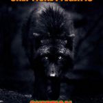 Black Wolf | SKEPTICAL FYLGJA IS; SKEPTICAL | image tagged in black wolf | made w/ Imgflip meme maker