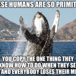 Happy Whale | THESE HUMANS ARE SO PRIMITIVE; YOU COPY THE ONE THING THEY KNOW HOW TO DO WHEN THEY SEE YOU AND EVERYBODY LOSES THEIR MINDS | image tagged in happy whale,memes,funny memes,funny animals | made w/ Imgflip meme maker
