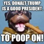 triumph the insult comedy dog rips Trump | YES, DONALT TRUMP IS A GOOD PRESIDENT. TO POOP ON! | image tagged in triumph the insult comedy dog rips trump | made w/ Imgflip meme maker