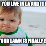Evil toddler tax | WHEN YOU LIVE IN LA AND IT RAINS; AND YOUR LAWN IS FINALLY GREEN | image tagged in evil toddler tax | made w/ Imgflip meme maker